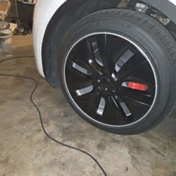 Tesla 19” OEM Gemini Wheel Covers 