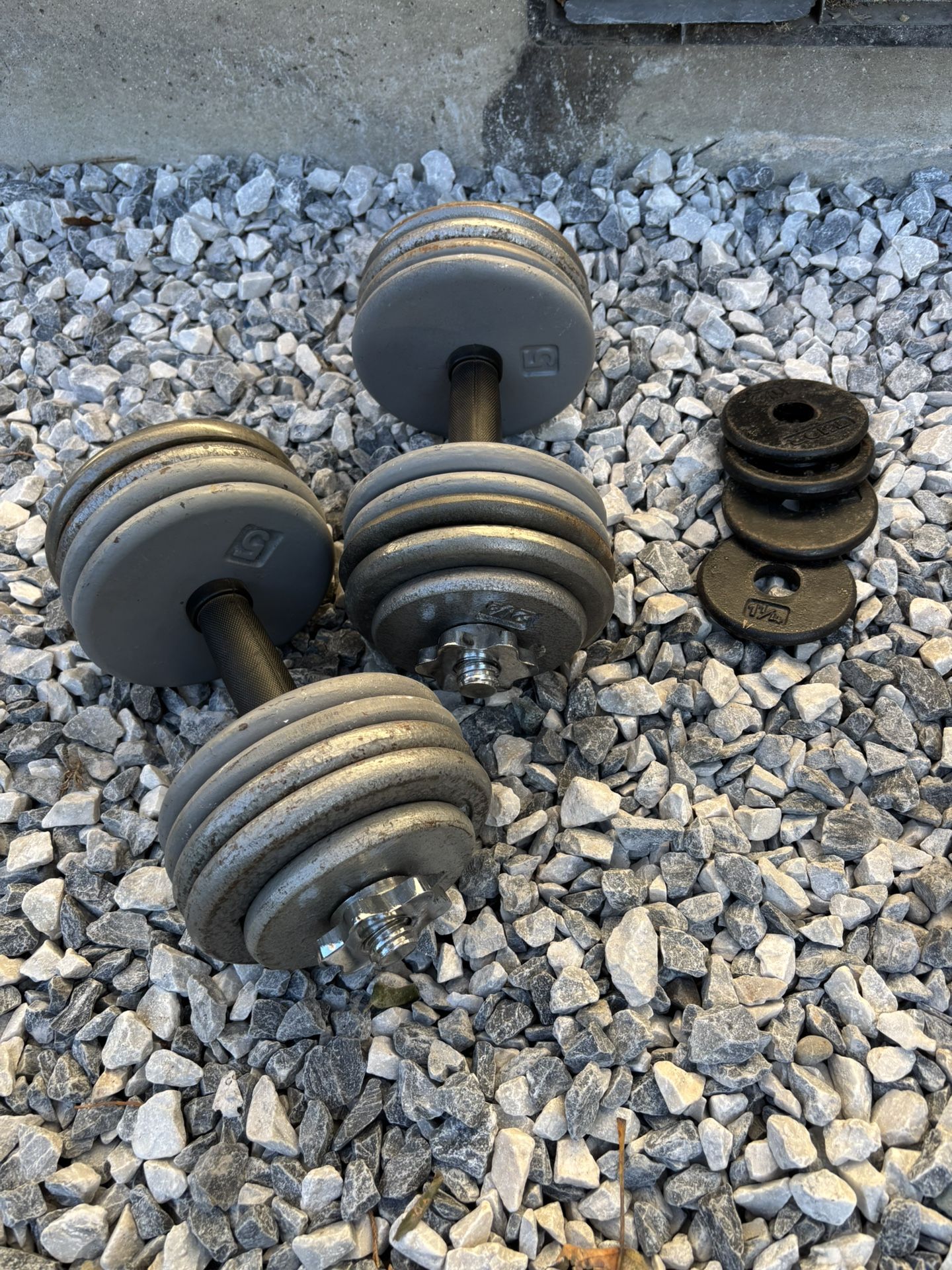 Ajustable Dumbbells