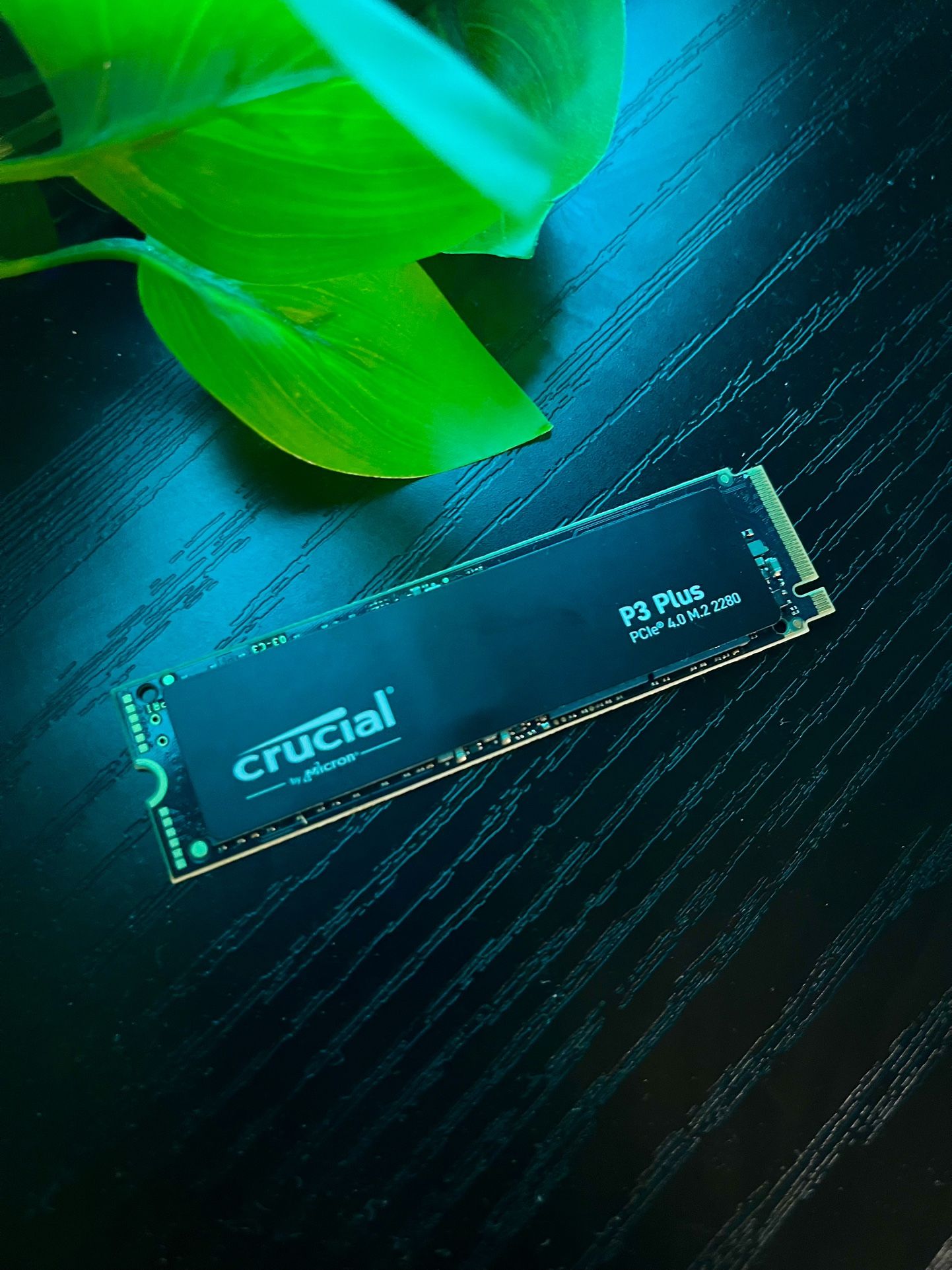 Crucial 4TB NVME SSD