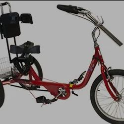 Amtryke Therapeutic Tricycle 