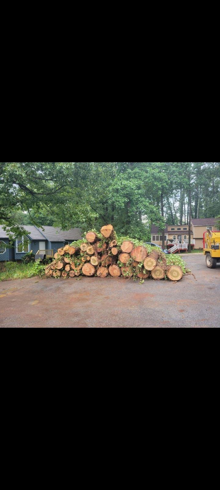 Tree Work