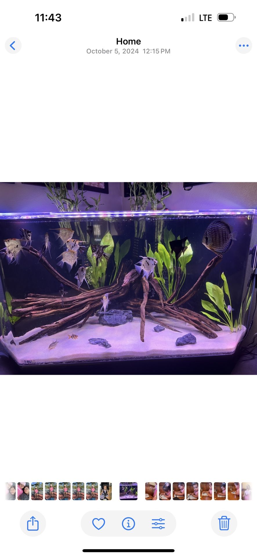 Aquarium