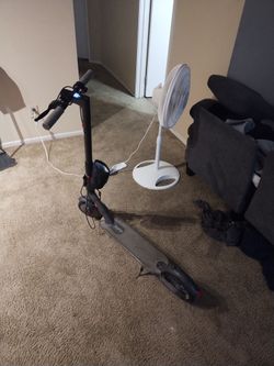 Adult electric scooter