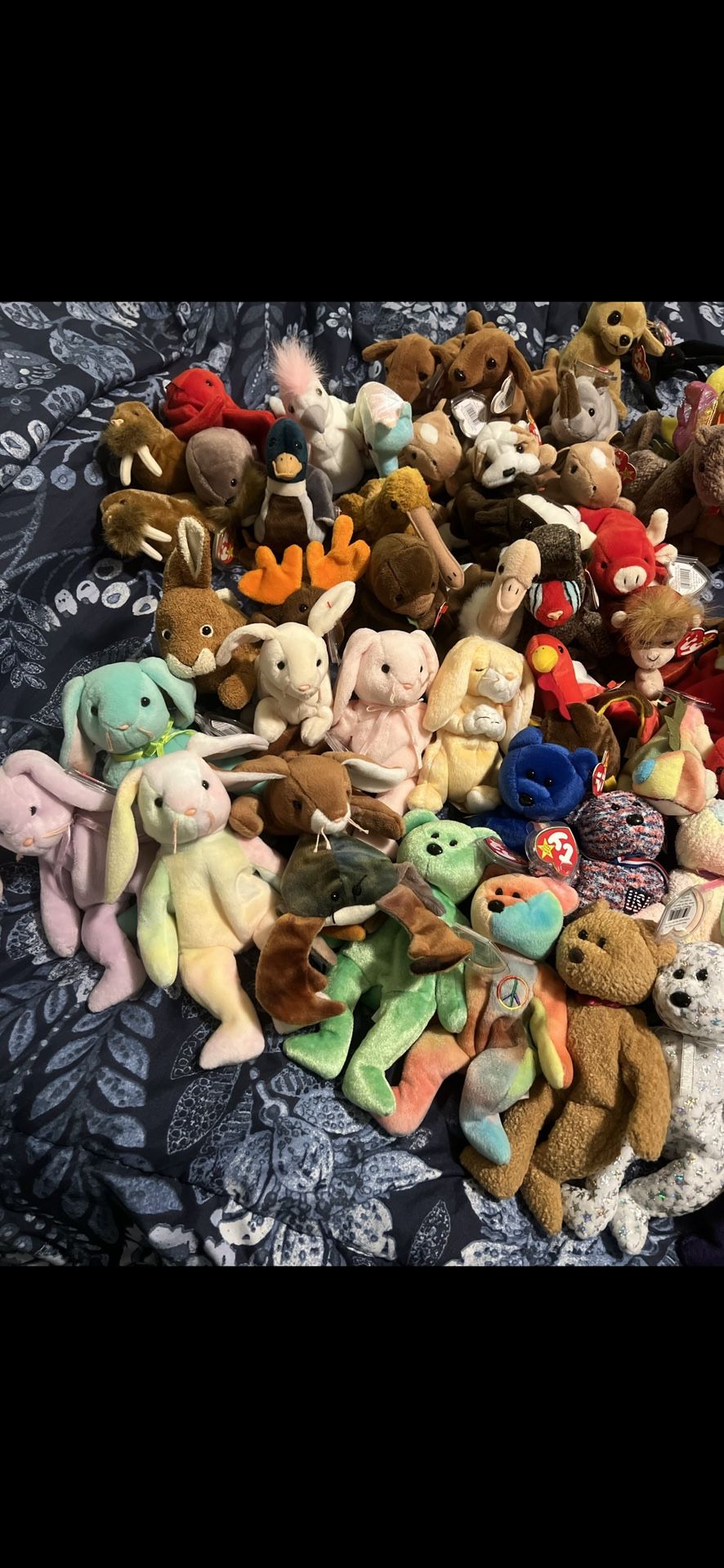 Around 200 Beanie Babies In Awesome Condition With Errors