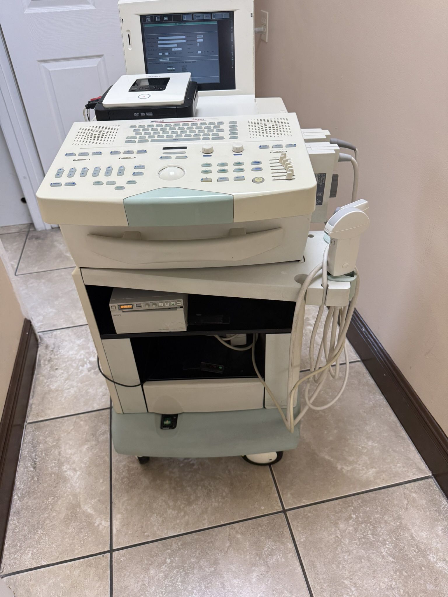 Bio Sound Esaote Mega ES Ultrasound System