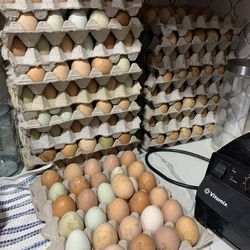Ranch Eggs/Huevos De Rancho 