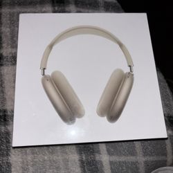 Air Pod Pro Max