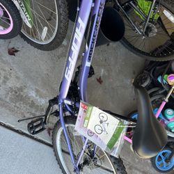 NEW WITH TAG - Huffy 24" Rock Creek Mountain Bike, Purple