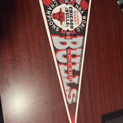 Chicago Bulls 1993 Back To Back To Back NBA World Champions Pennant Original