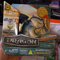 How to train your dragon