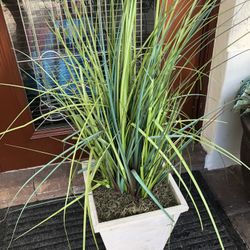 Ornamental Faux Grass Potted Artificial Plant 