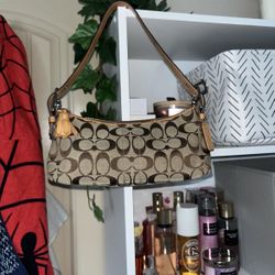 Soft Demi Shoulder Bag in Signature Canvas