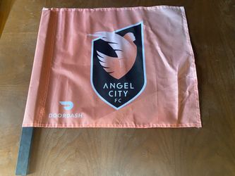 Angel City FC DoorDash Flag - stadium approved!