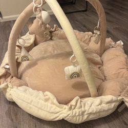 Baby Play Gym 