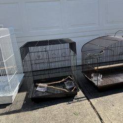 Bird Cages 