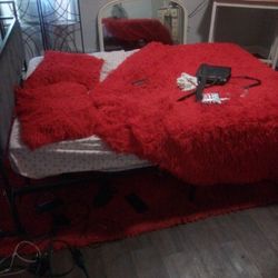 Queen Bed twin bed 32"In Roku Tv With Remote Lamps Black Rugs And Red Carpet Tv Stand 