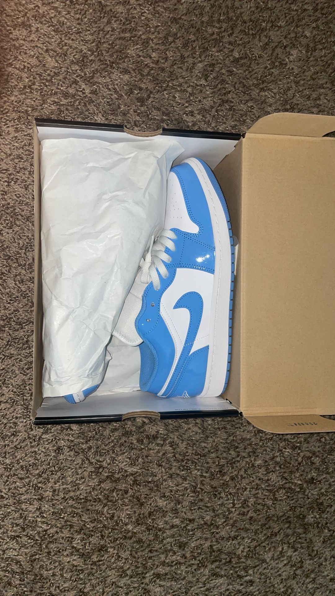 Jordan 1s