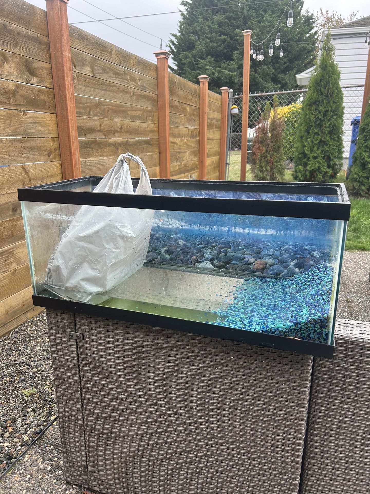 Free Fish Tank