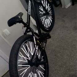  Customized SE bike 