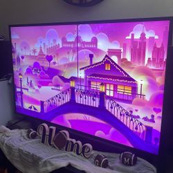 Insignia 55in Roku tv 