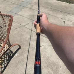 Phenix M1 Casting Rod