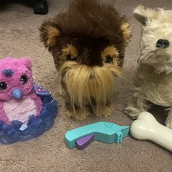 Battery Operated Pets