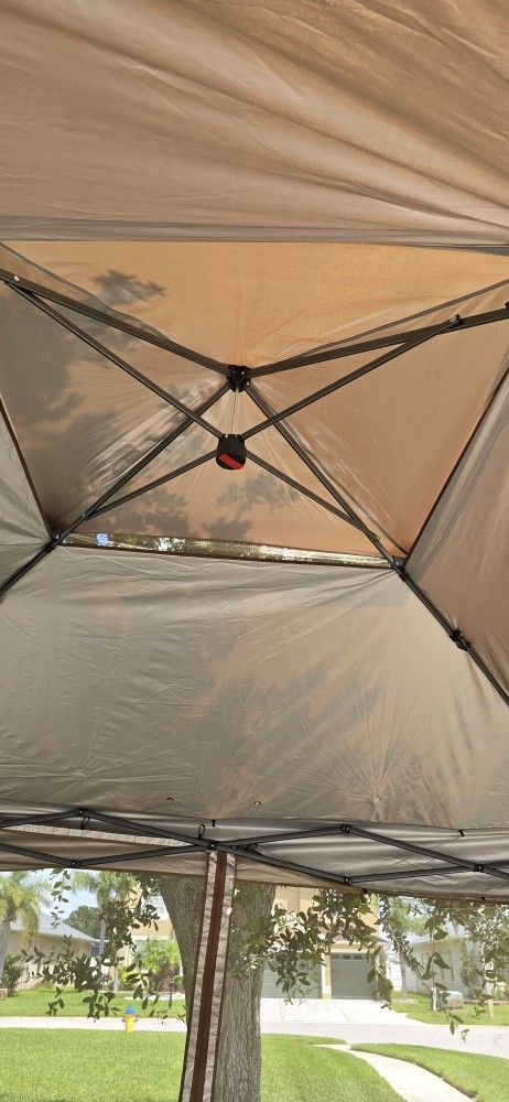 Carpa 10×10