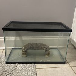 Small Aquarium 10 Gallon