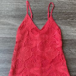 Express Red Dress