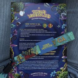 Beyond Wonderland