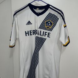 LA Galaxy Jersey (size Medium)