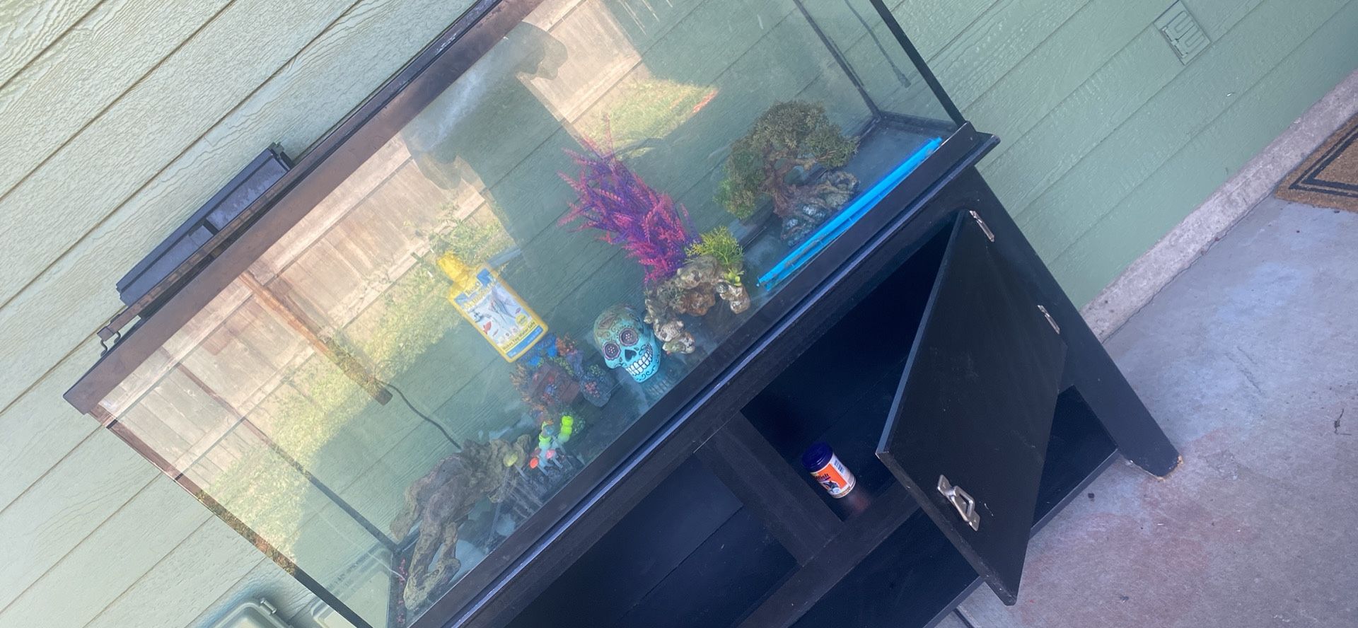 55 Gallon Fish Tank