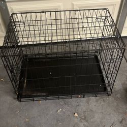 Cage Dog 🐕 