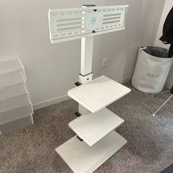 Portable TV Stand/Mount