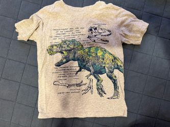 Boys dinosaur shirt 4T