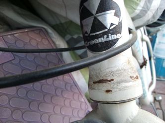 Greenline bike