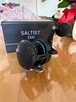 Daiwa Saltist 35H