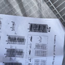 Bird Cages