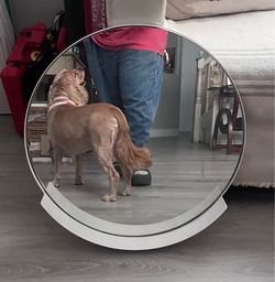 Circle white mirror