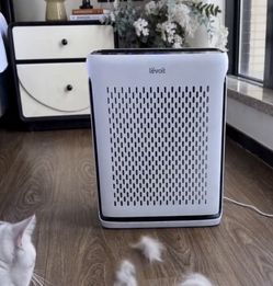 levoit air purifier