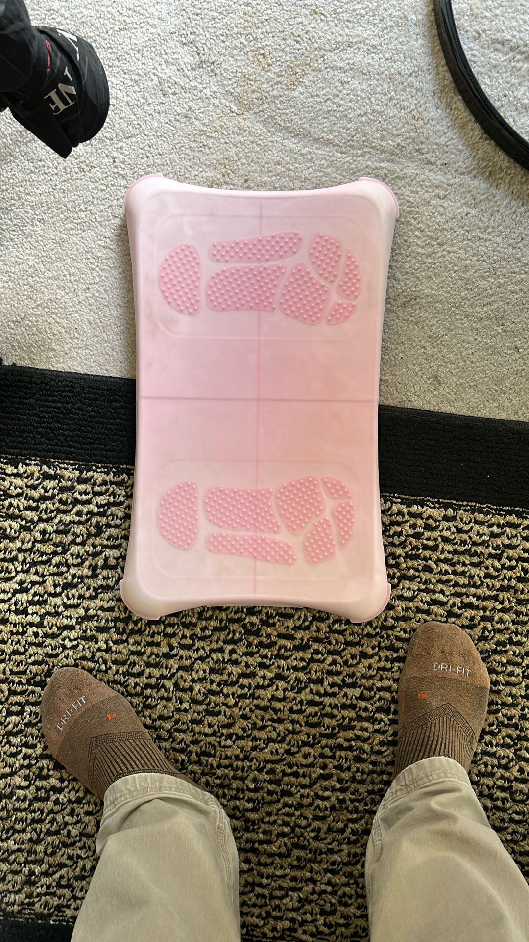 Wii Fit Board.