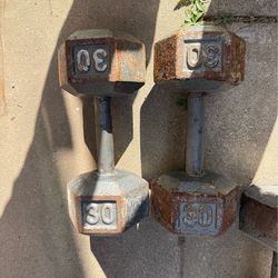 30 lbs dumbbells