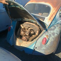 1964 VW bug