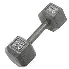 Pair Of 25lb Dumbells