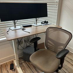Complete Office Setup