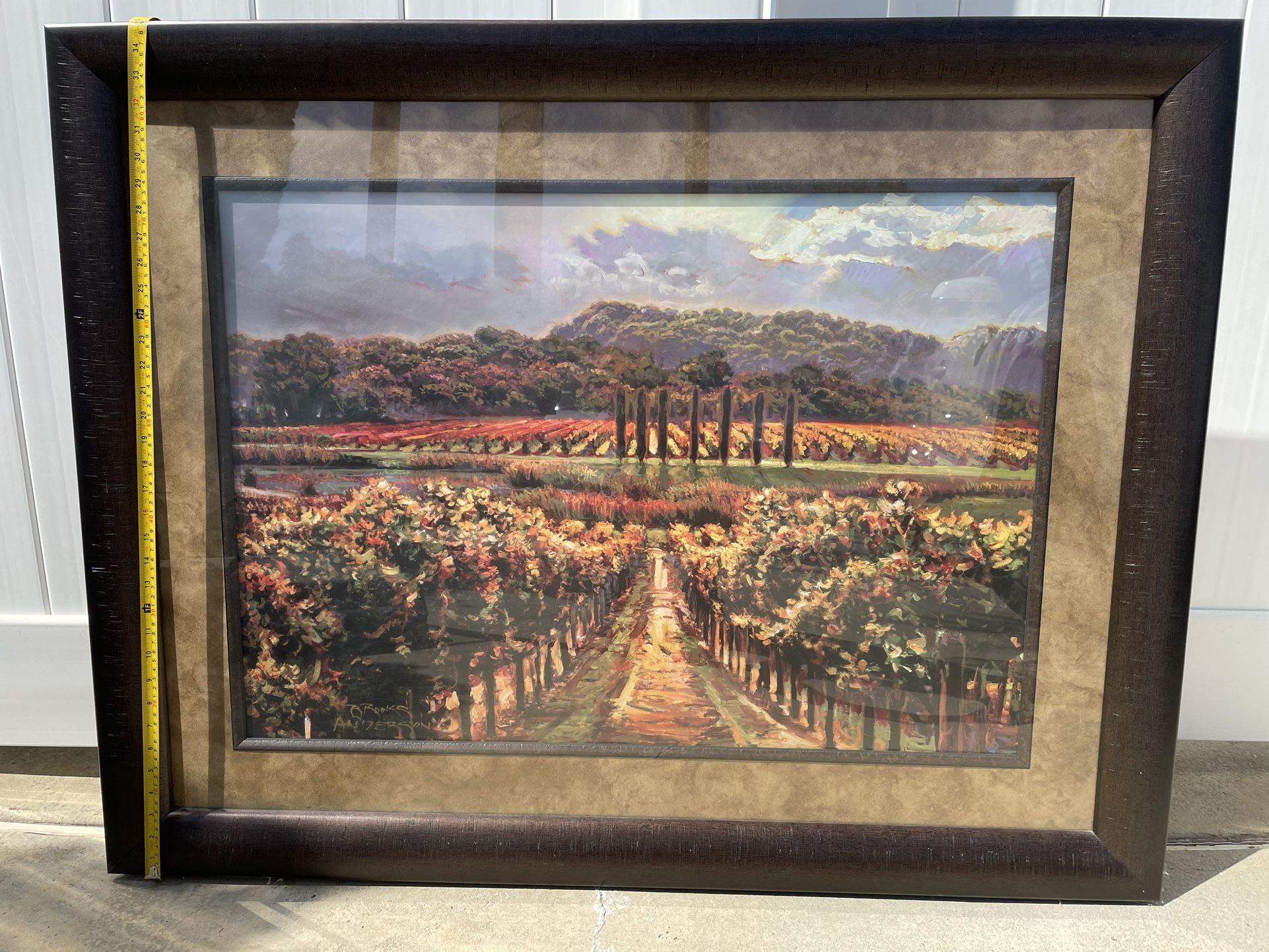 45” x 35” Glass Framed Matted Vineyard Portrait