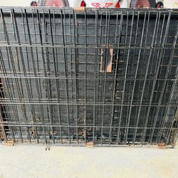 Dog Kennel 
