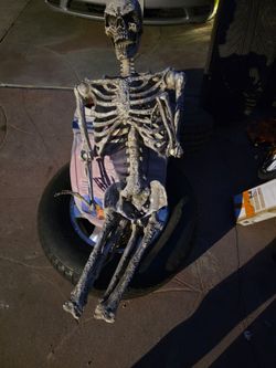 Halloween Decorations