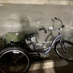 Schwin Adult Tricycle With Basket In the Back
