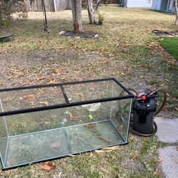 75 Gallon Tank With Filter
